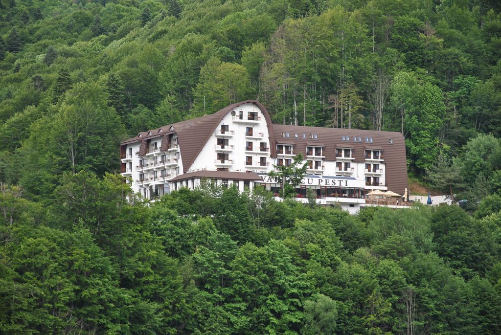 Hotel Valea Cu Pesti Căpăţîneni-Ungureni Extérieur photo